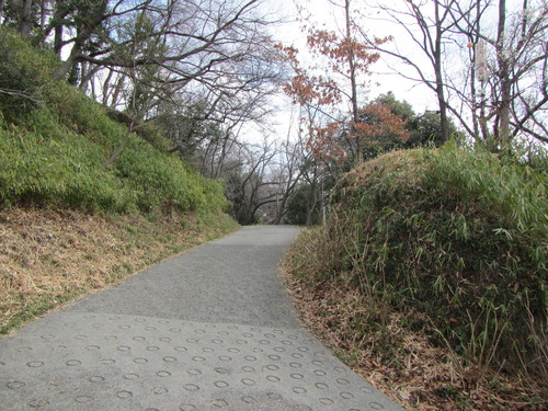 a0251786_16573290.jpg