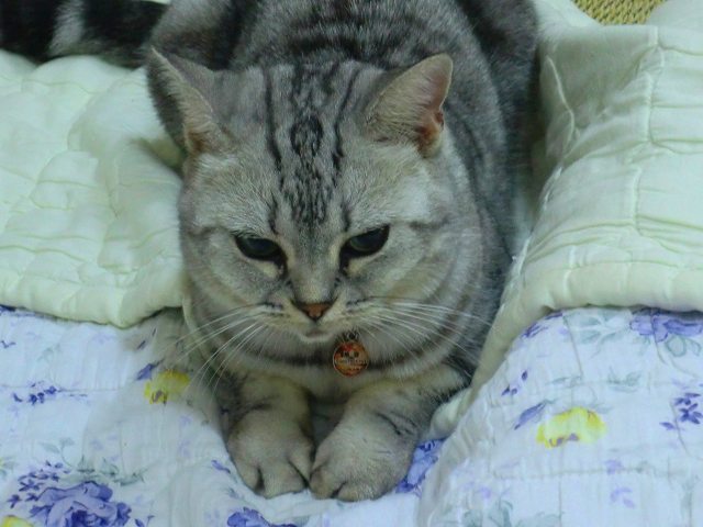 c0187403_15303083.jpg