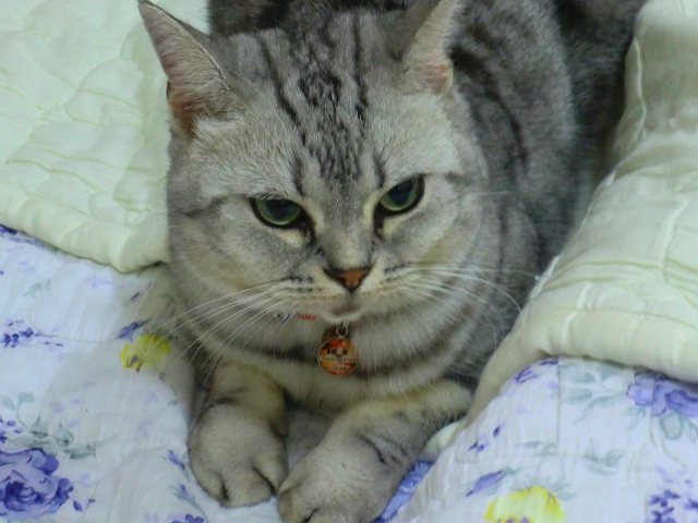 c0187403_15312587.jpg