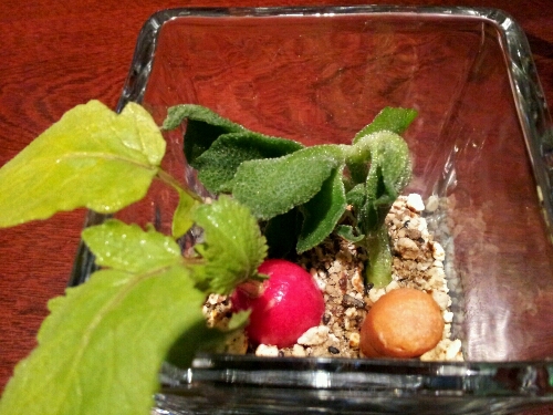 a0183009_9352532.jpg