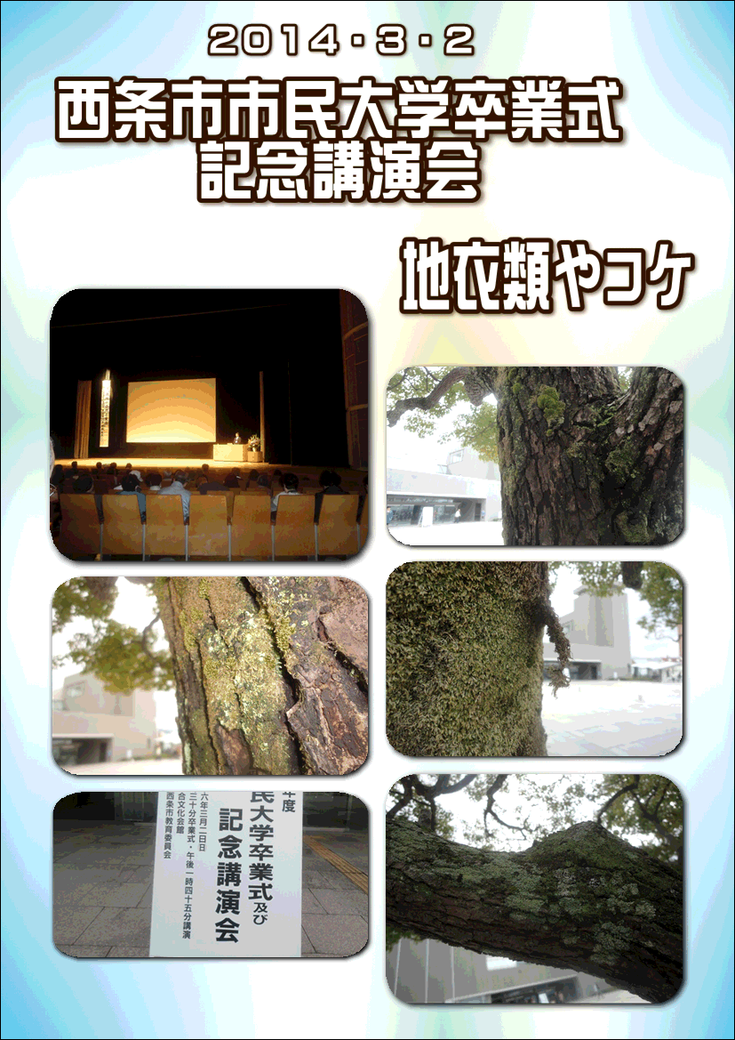 f0231709_126086.gif