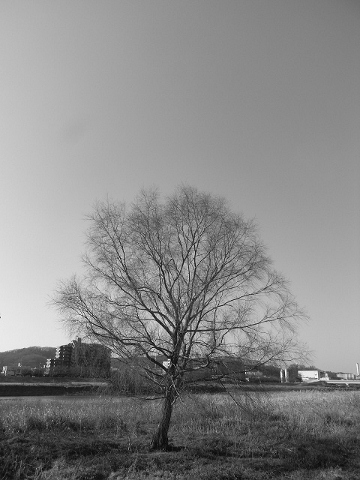 b0309813_20572154.jpg
