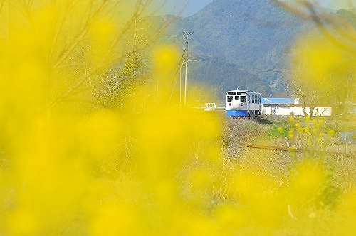 c0168815_00290827.jpg