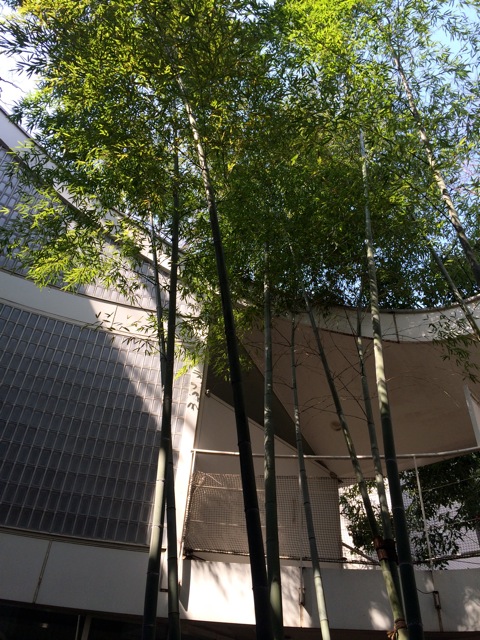 e0141819_11335051.jpg