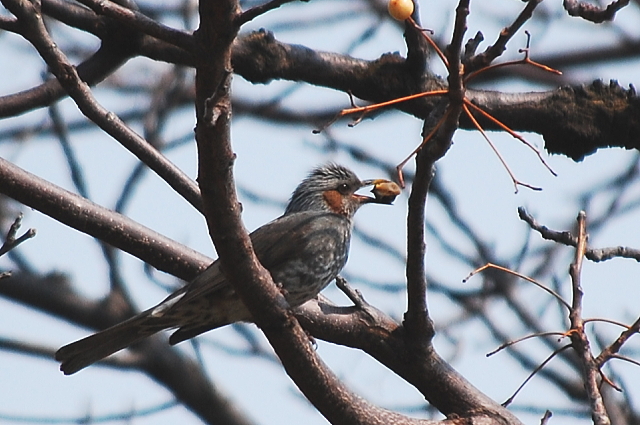 f0248120_2010129.jpg