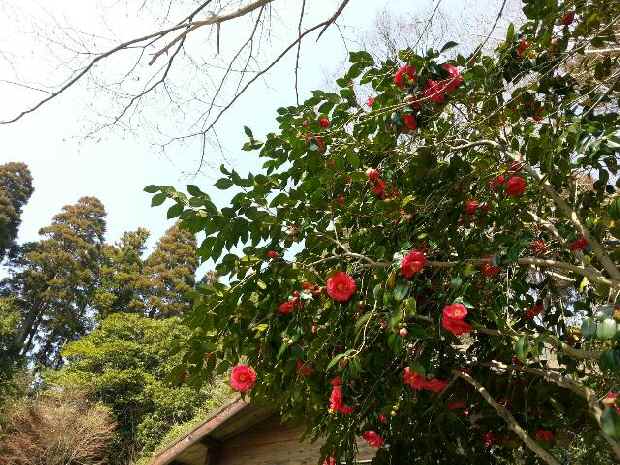 e0047322_2229847.jpg