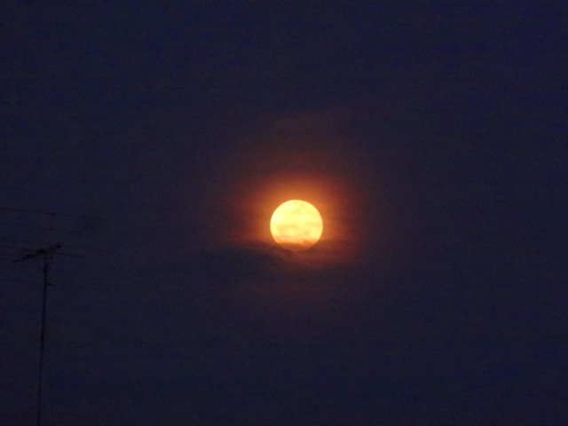 e0016828_11225785.jpg