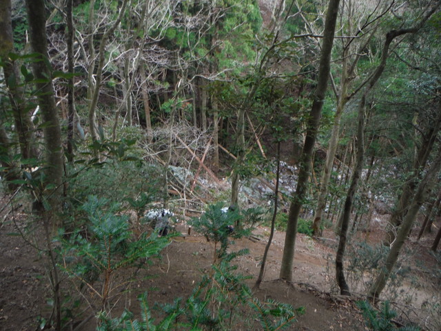 b0136931_14215322.jpg