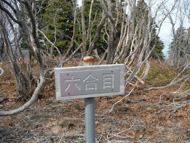 b0136931_14433745.jpg