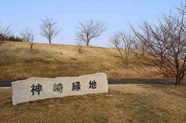 a0242438_2019415.jpg
