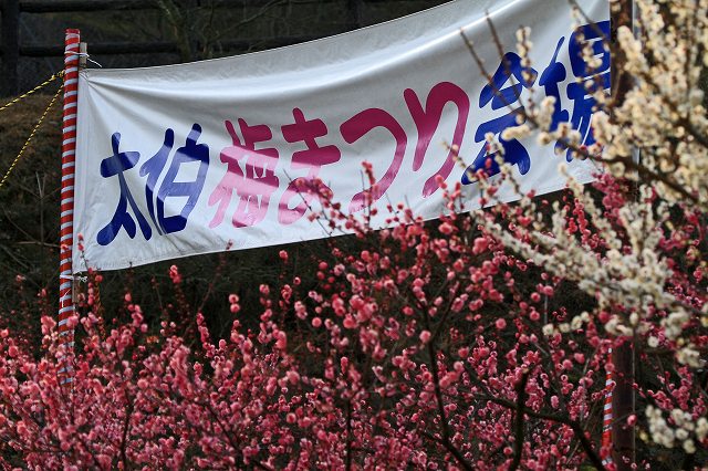 a0242438_20204711.jpg