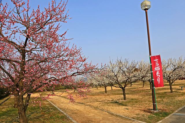 a0242438_20232125.jpg