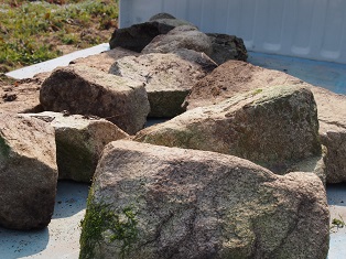 b0246758_19524215.jpg