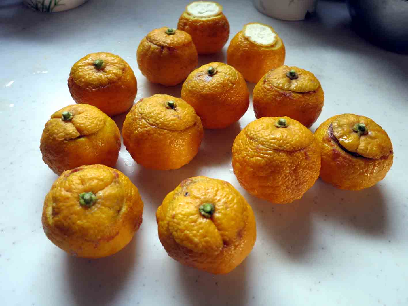 c0064260_10144051.jpg