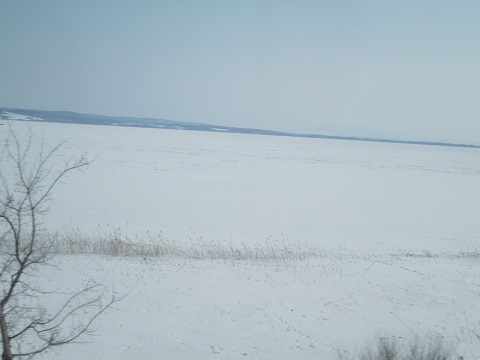 d0029363_0293331.jpg