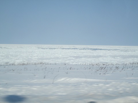 d0029363_0303977.jpg