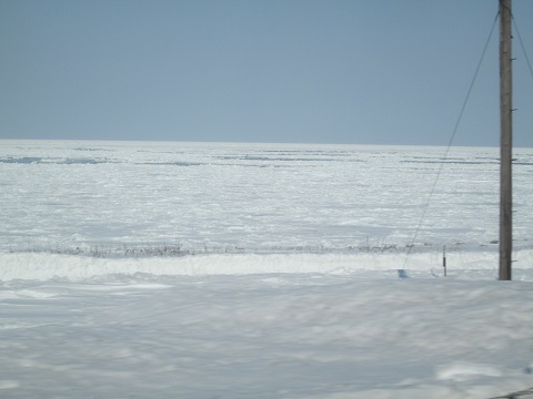 d0029363_0304713.jpg