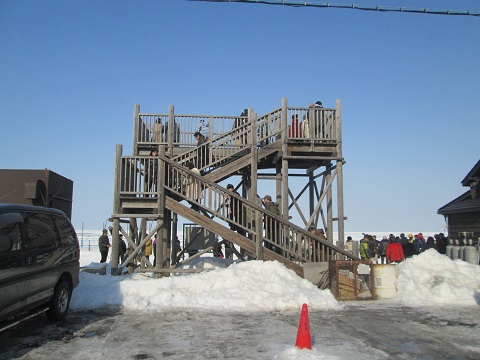 d0029363_1441458.jpg