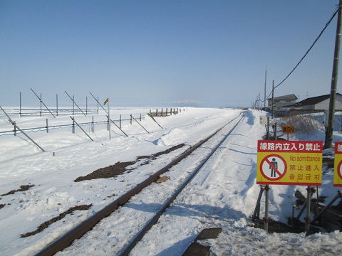 d0029363_1455837.jpg