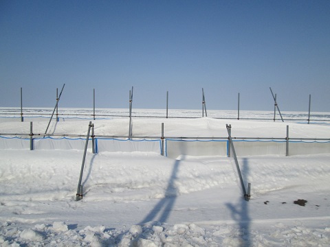 d0029363_1464469.jpg
