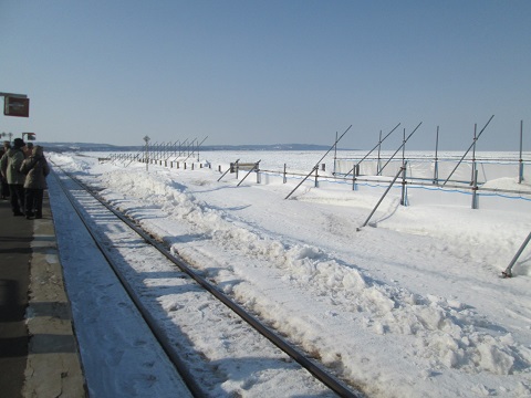 d0029363_146728.jpg