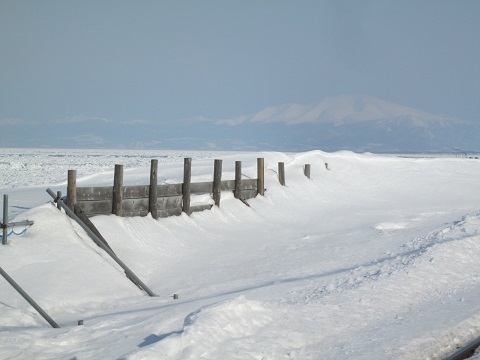d0029363_1471097.jpg