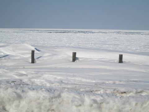 d0029363_147287.jpg
