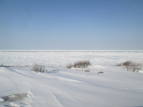 d0029363_18345194.jpg