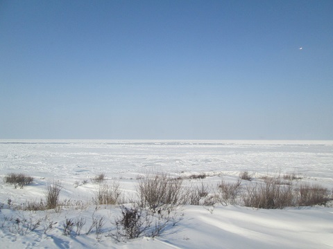 d0029363_18361596.jpg