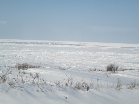 d0029363_18362470.jpg