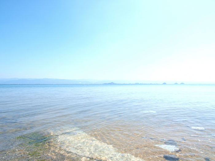 a0260570_11629100.jpg