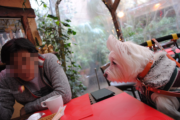 b0242873_01233769.png