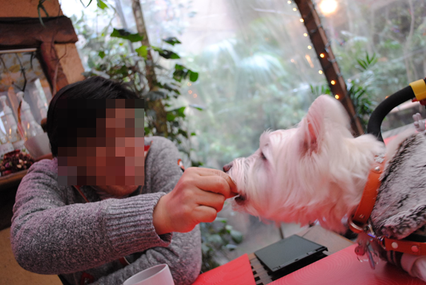b0242873_01245829.png