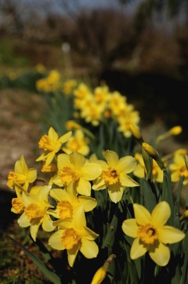 f0037378_2117367.jpg