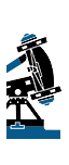 e0040579_17154624.png