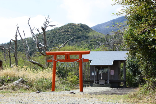 c0204385_211306.jpg