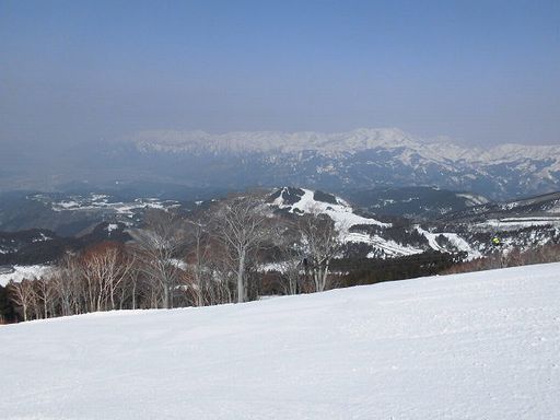 b0091187_2242588.jpg