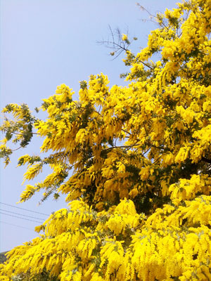 c0185092_2134020.jpg