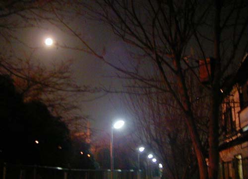 d0053294_2335798.jpg