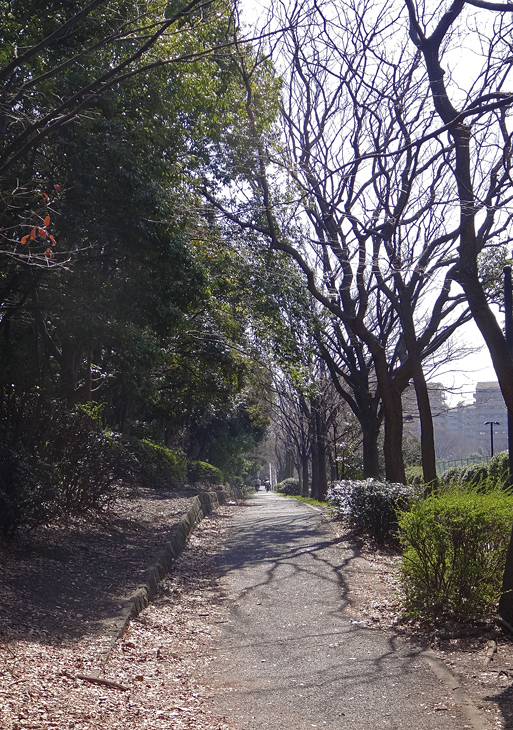 c0025895_0361791.jpg