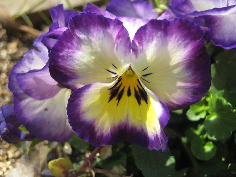 f0201297_23542521.jpg