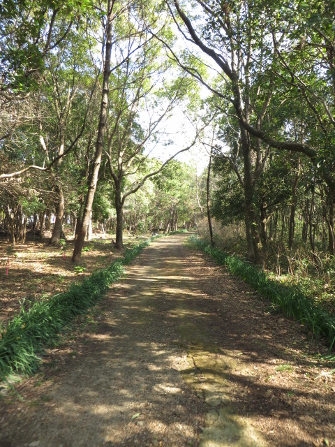 a0193698_185192.jpg