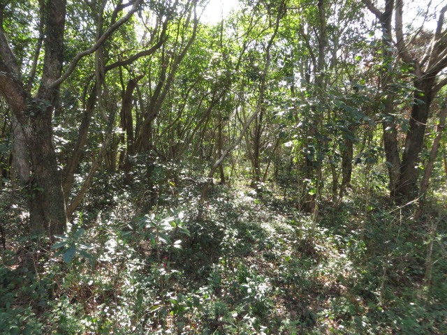 a0193698_18521567.jpg