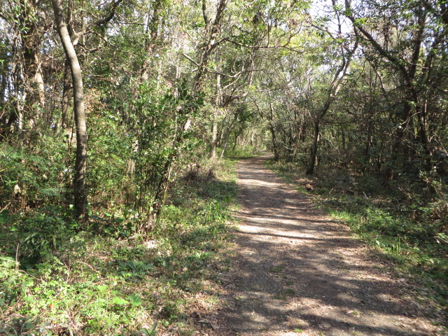 a0193698_18525643.jpg