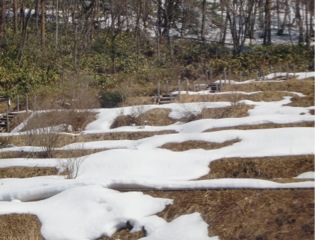 c0151898_1725918.jpg