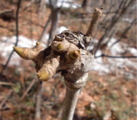 c0151898_1733846.jpg