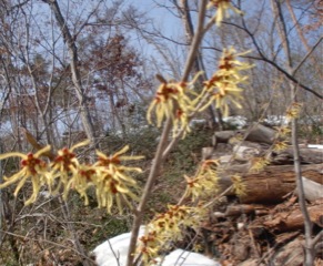 c0151898_17453.jpg