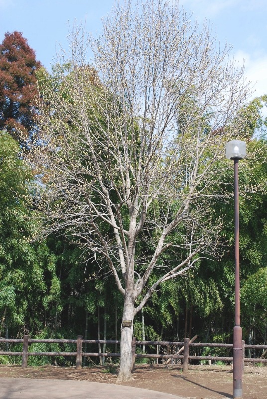 e0025300_1335191.jpg