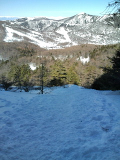 e0028904_21304363.jpg