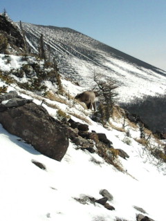 e0028904_21314820.jpg